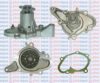 AQUAPLUS 85-5915 Water Pump